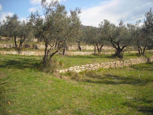Terreno in vendita a Pistoia, Toscana