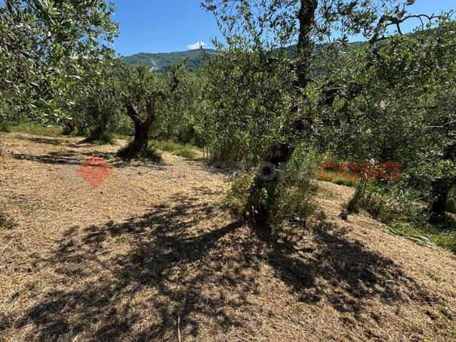 Terreno in vendita a Le Grazie, Pistoia