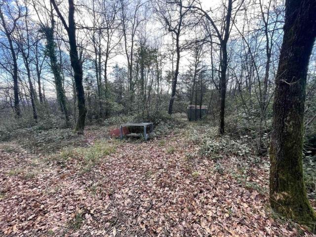 Terreno in vendita a Gello, Pistoia