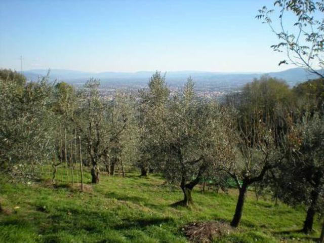 Terreno in vendita a Pistoia, Toscana