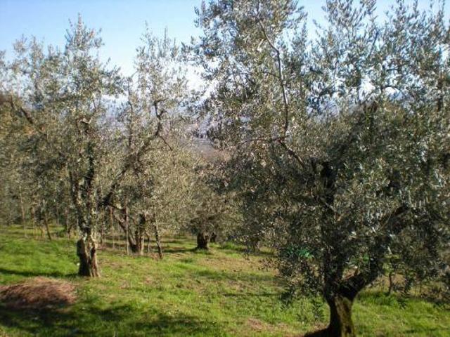 Terreno in vendita a Pistoia, Toscana