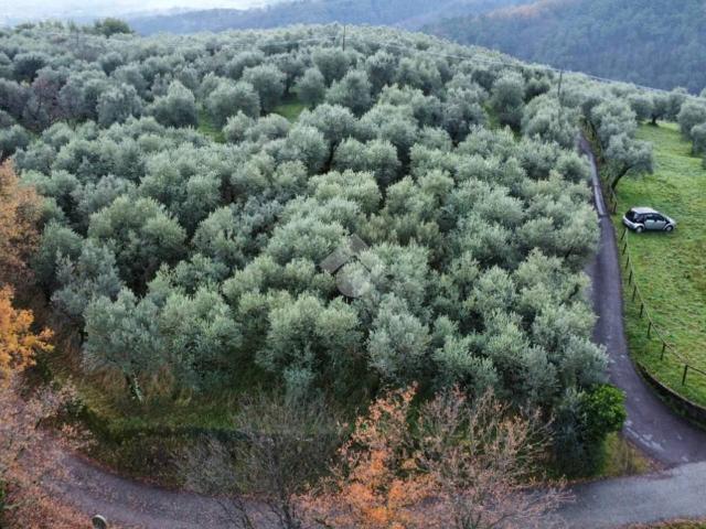 Terreno in vendita a Piazza, Pistoia