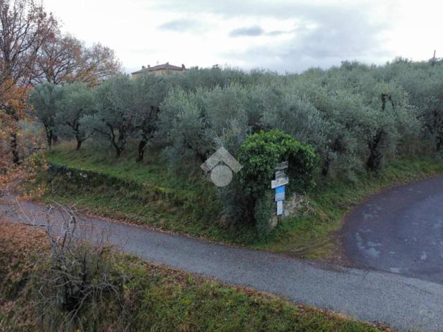 Terreno in vendita a Piazza, Pistoia