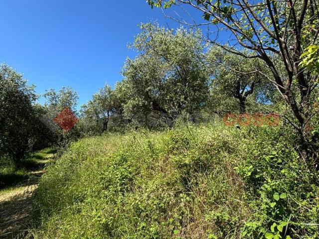 Terreno in vendita a Le Grazie, Pistoia
