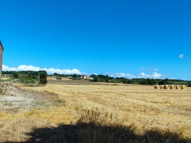 Terreno in vendita a Unione di Comuni Montani Colline del Fiora, Pitigliano