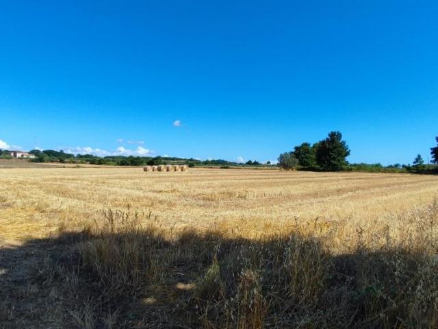 Terreno in vendita a Unione di Comuni Montani Colline del Fiora, Pitigliano