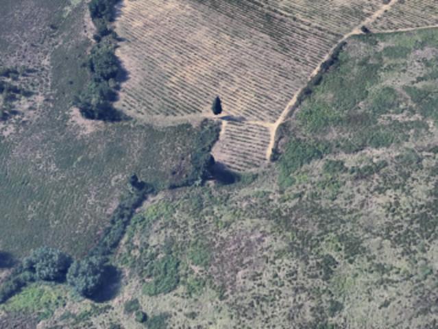 Terreno in vendita a Lecchi, Toscana