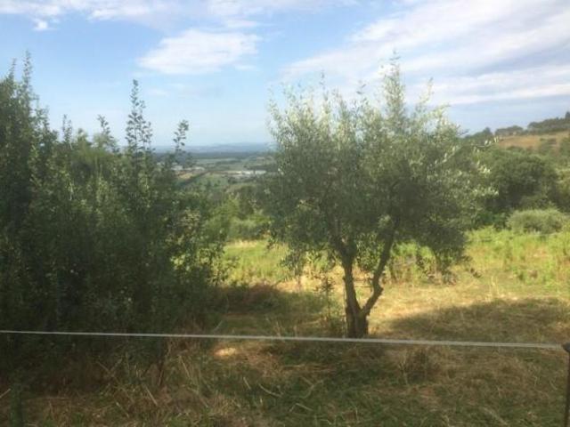Terreno in vendita a Lecchi, Toscana