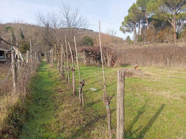 Terreno in vendita a Lecchi, Toscana