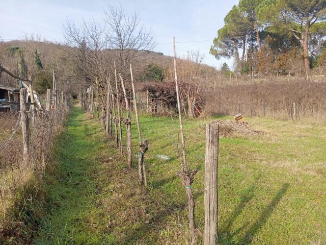Terreno in vendita a Lecchi, Toscana