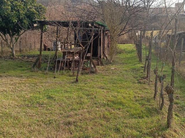 Terreno in vendita a Lecchi, Toscana