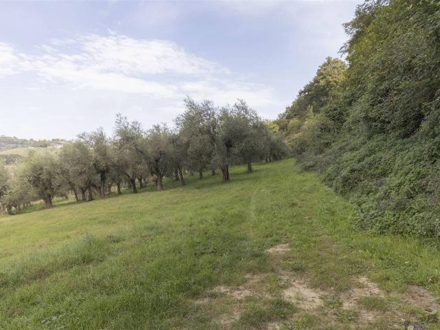 Terreno in vendita a Poggio Mirteto, Lazio