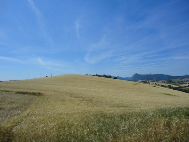 Terreno in vendita a Marche, Ancona