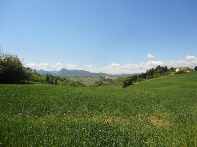 Terreno in vendita a Marche, Ancona