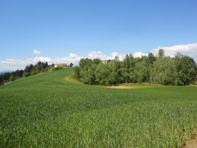 Terreno in vendita a Marche, Ancona
