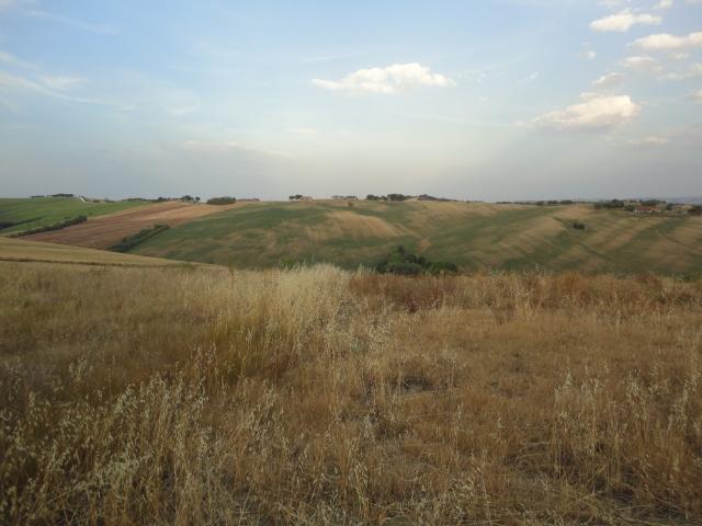 Terreno in vendita a Marche, Ancona