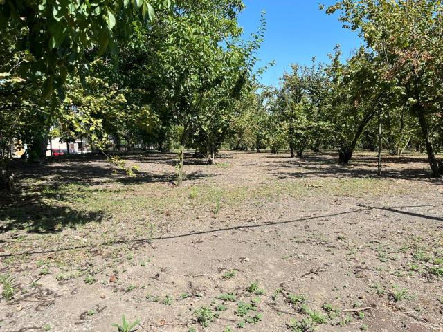 Terreno in vendita a Poggiomarino, Campania