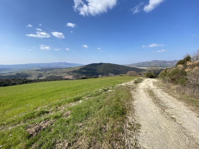 Terreno in vendita a Larderello, Toscana