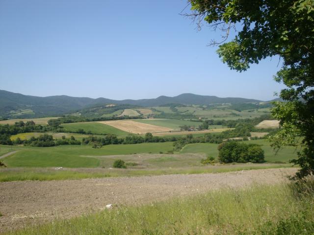 Terreno in vendita a Larderello, Toscana