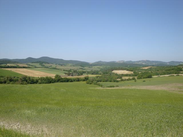 Terreno in vendita a Larderello, Toscana
