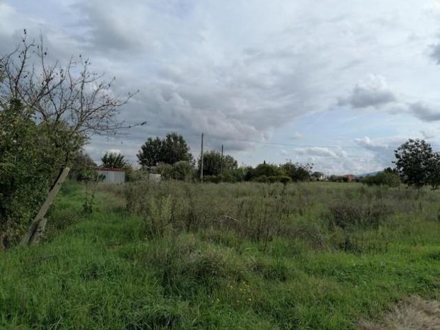 Terreno in vendita a Ponsacco, Toscana