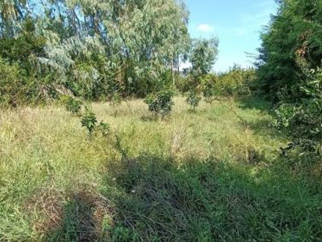 Terreno in vendita a San Giuliano Terme, Toscana
