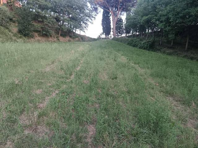 Terreno in vendita a I Fabbri, Pontedera