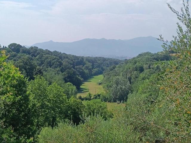 Terreno in vendita a Bellaria, Pontedera