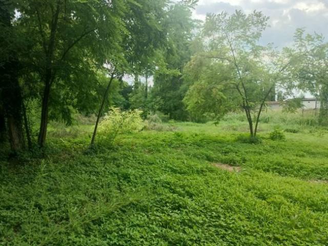 Terreno in vendita a Pordenone, Friuli-Venezia Giulia