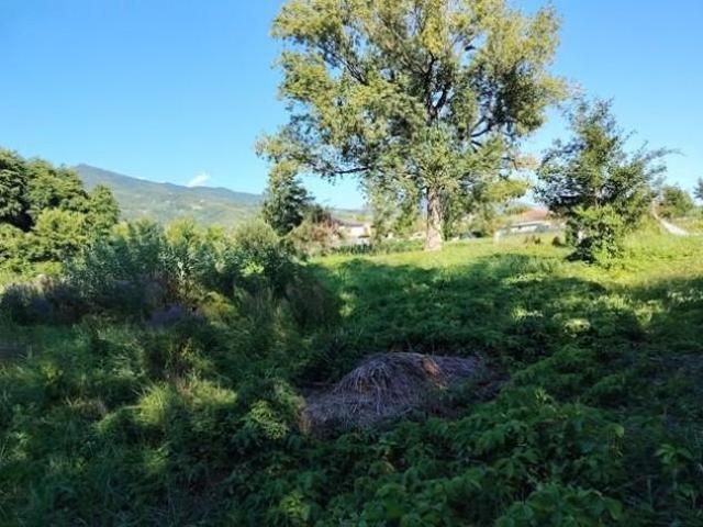 Terreno in vendita a Marina Di Massa, Toscana