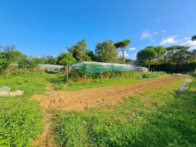 Terreno in vendita a Massa, Massa-Carrara