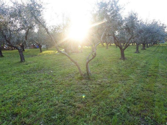 Terreno in vendita a Reggiana - Gescal, Prato