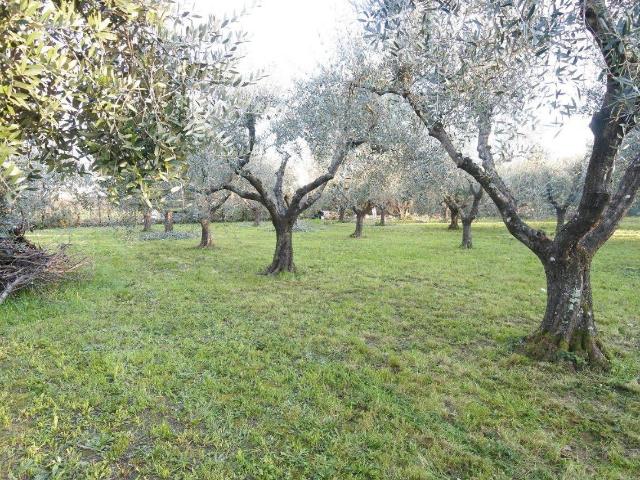 Terreno in vendita a Reggiana - Gescal, Prato