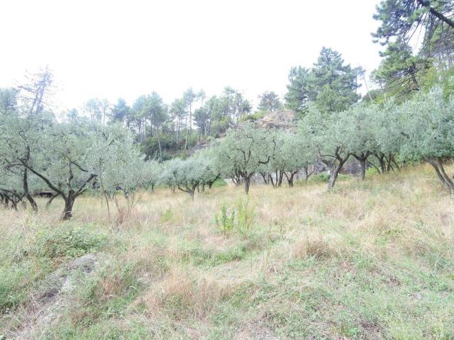 Terreno in vendita a Cerreto, Prato