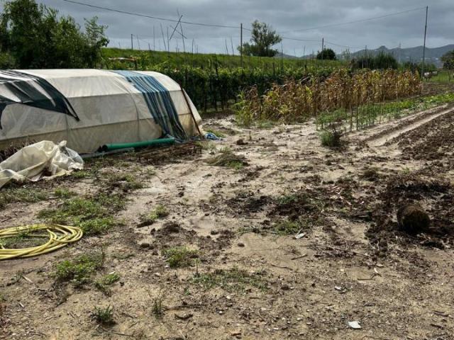 Terreno in vendita a Podere San Ferdinando, Prato