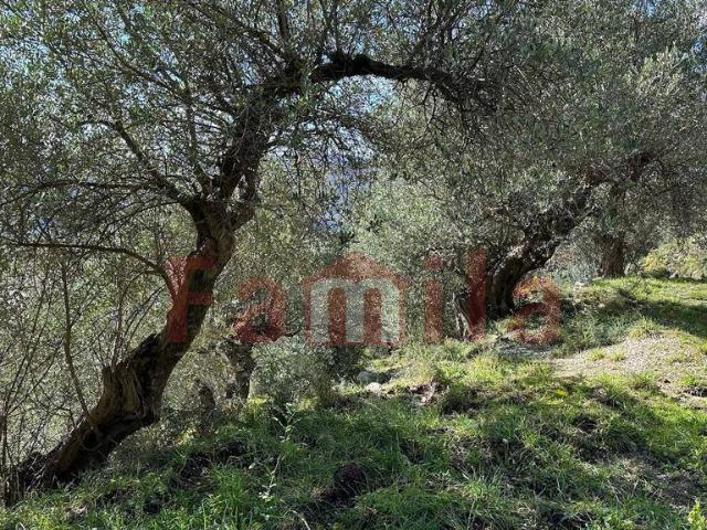 Terreno in vendita a Quadrelle, Campania
