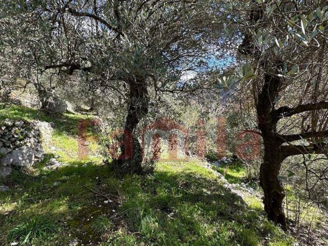 Terreno in vendita a Quadrelle, Campania