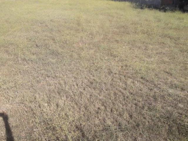 Terreno in vendita a Quartu Sant'elena, Sardigna/Sardegna