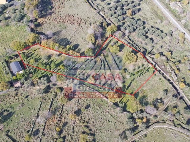 Terreno in vendita a Quartiere Crocitta, Randazzo