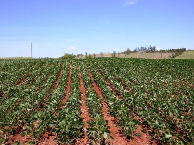 Terreno in vendita a San Biagio, Ravenna