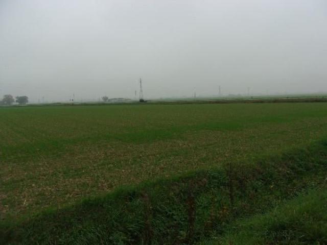 Terreno in vendita a San Biagio, Ravenna