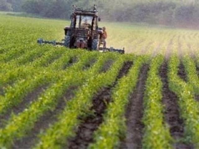 Terreno in vendita a Ravenna