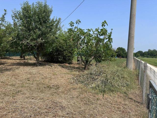 Terreno in vendita a Poggi Rubicone, Ravenna