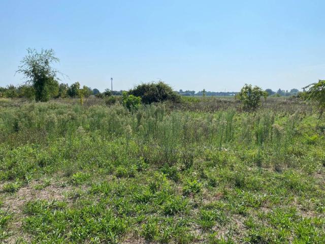 Terreno in vendita a Madonna dell'Albero, Ravenna