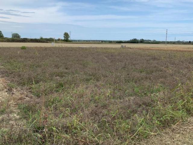 Terreno in vendita a Punta Marina Terme, Ravenna