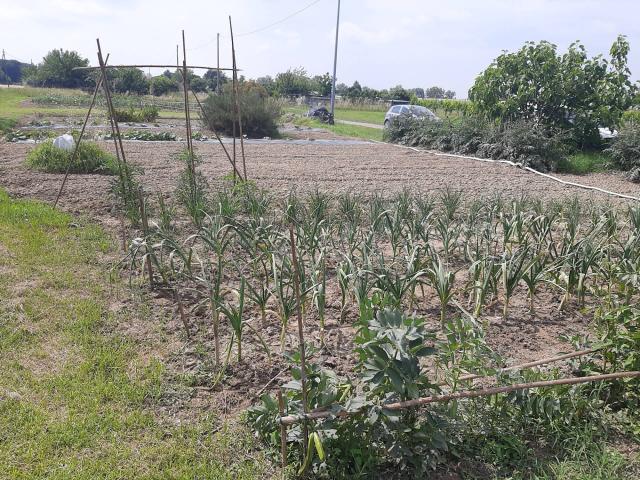 Terreno in vendita a Ravenna, Reggio Emilia