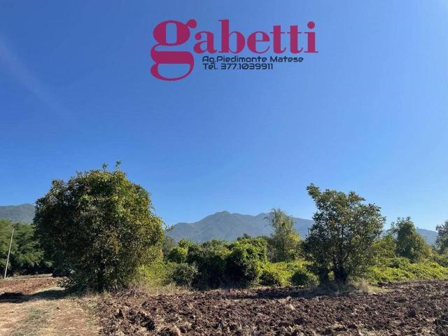 Terreno in vendita a Raviscanina, Campania