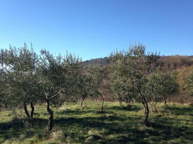 Terreno in vendita a Unione di Comuni Valdarno e Valdisieve, Reggello