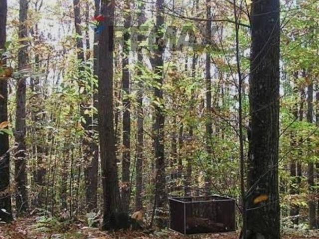 Terreno in vendita a Unione di Comuni Valdarno e Valdisieve, Reggello