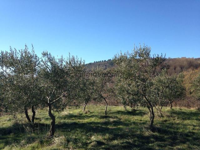 Terreno in vendita a Unione di Comuni Valdarno e Valdisieve, Reggello